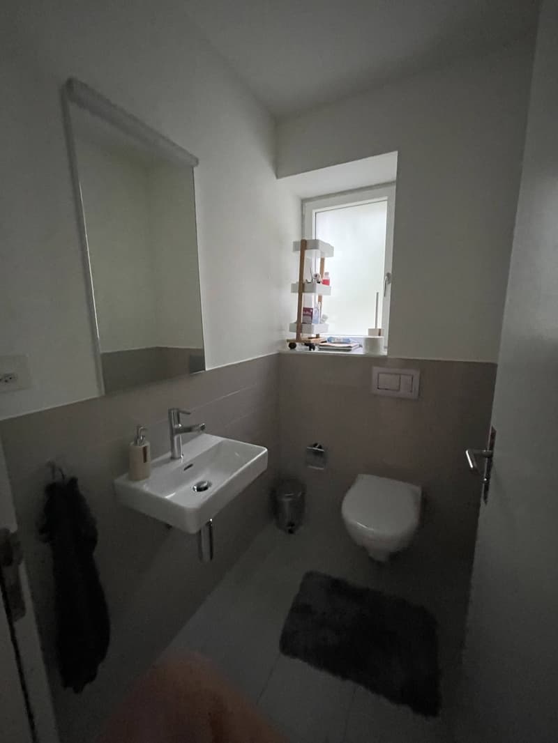 Bright 3.5-Room Apartment with Balcony, Private Washer/Dryer & Excellent Transport Links (6)