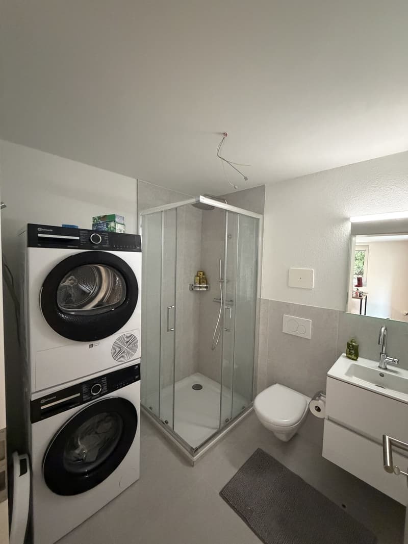 Bright 2-Room Apartment in St. Gallen (3)