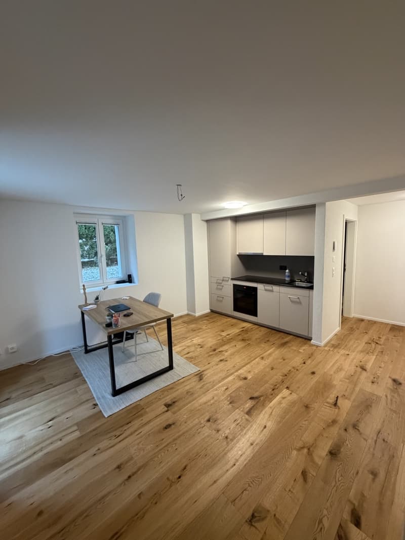 Bright 2-Room Apartment in St. Gallen (1)
