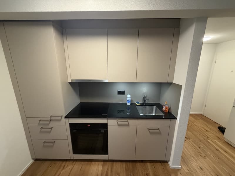 Bright 2-Room Apartment in St. Gallen (2)