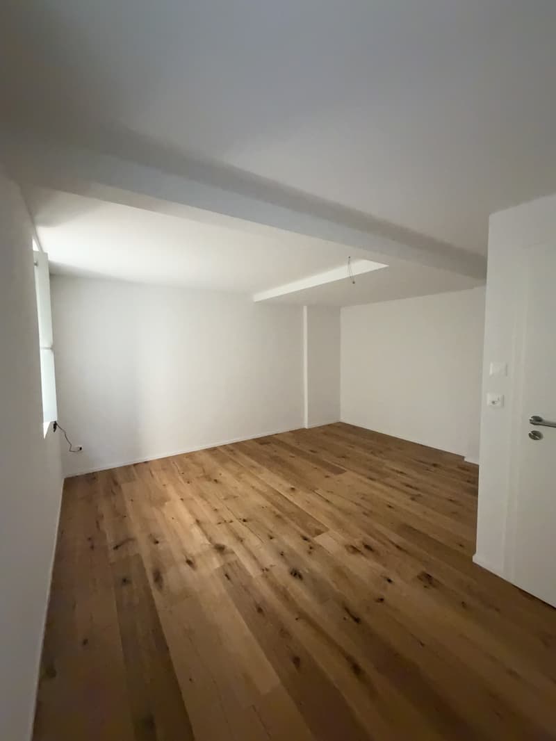 Bright 2-Room Apartment in St. Gallen (4)