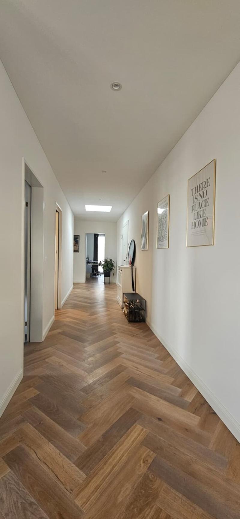 Exklusive Attika-Wohnung direkt am Bahnhof Uster befristete Untermiete (6)