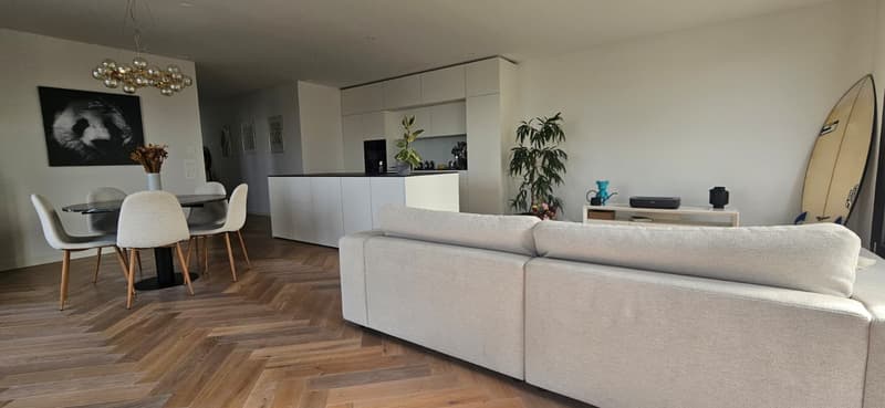 Exklusive Attika-Wohnung direkt am Bahnhof Uster befristete Untermiete (4)