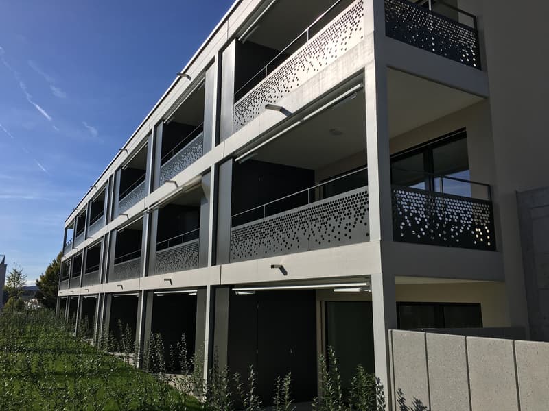 Helles und modernes 1.5-Zimmer-Studio mit Gartensitzplatz in Niederrohrdorf (6)