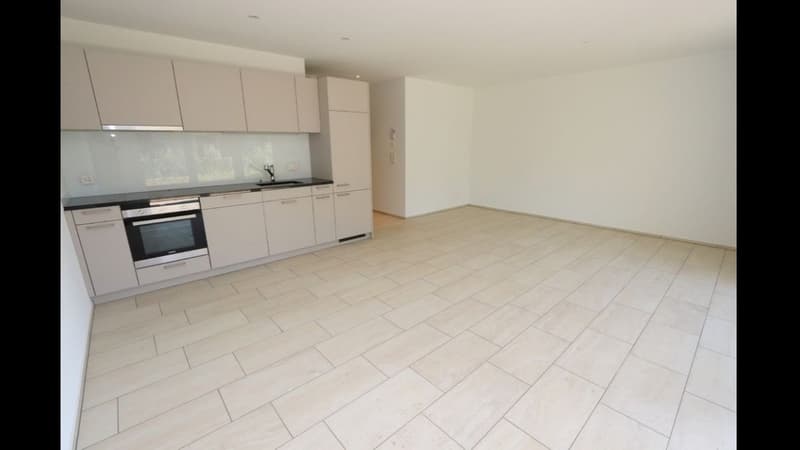 Helles und modernes 1.5-Zimmer-Studio mit Gartensitzplatz in Niederrohrdorf (2)