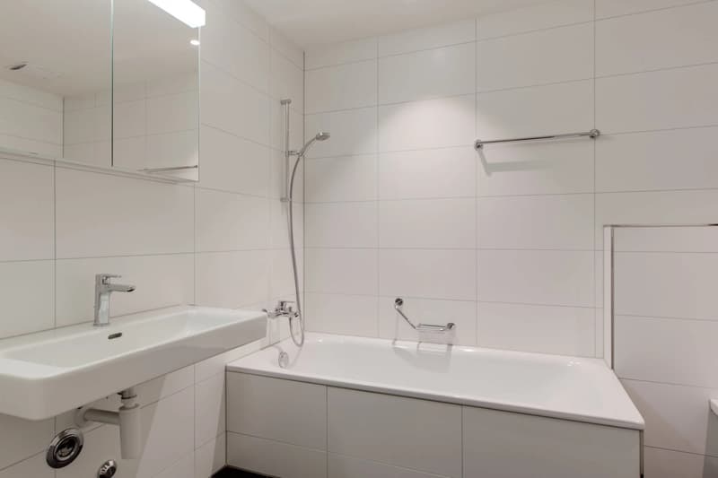 Traumhafte 4.5-Zimmerwohnung modern, familienfreundlich & naturnah (3)