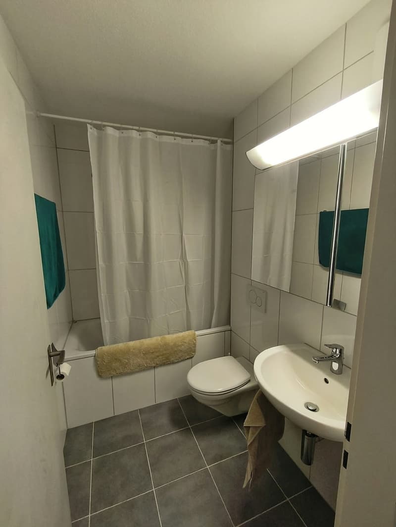 Room in shared flat with joint contract looking for a flatmate, not just a tenant (6)