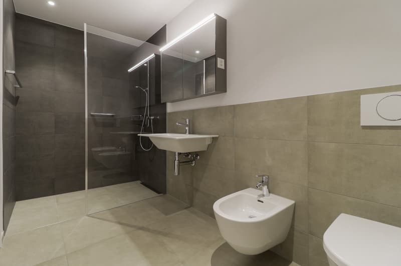 2.5 Zimmer-Wohnung in Emmenbrücke (5)