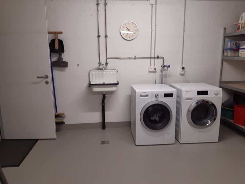 2.5 Zimmer-Wohnung in Emmenbrücke (8)