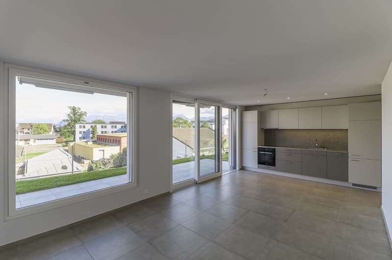 2.5 Zimmer-Wohnung in Emmenbrücke (3)