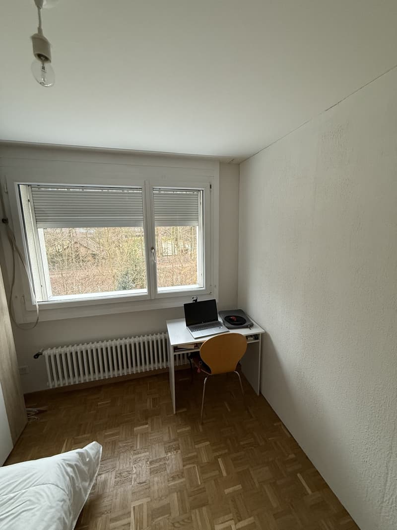 Furnished Room Available in a Shared Apartment | Kirchweg 79, 8102 Oberengstringen (3)