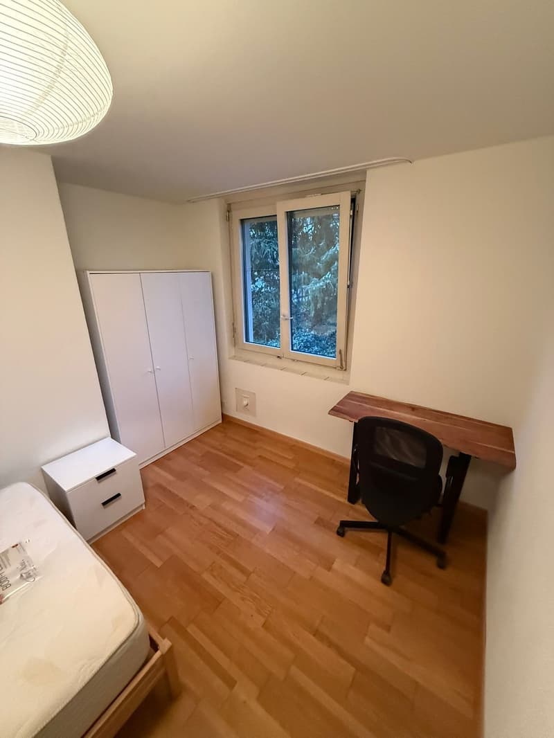 Furnished Room Available in Zürich | Wiesliacher 89, 8053 Zürich (2)