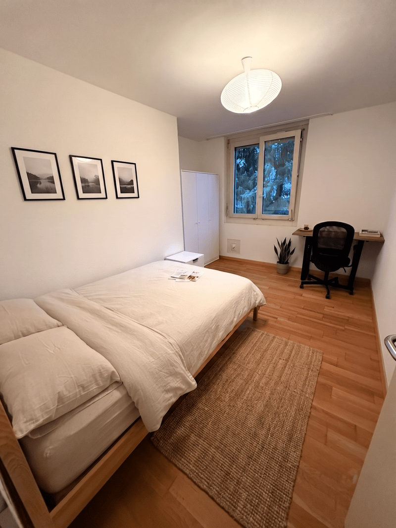 Furnished Room Available in Zürich | Wiesliacher 89, 8053 Zürich (1)