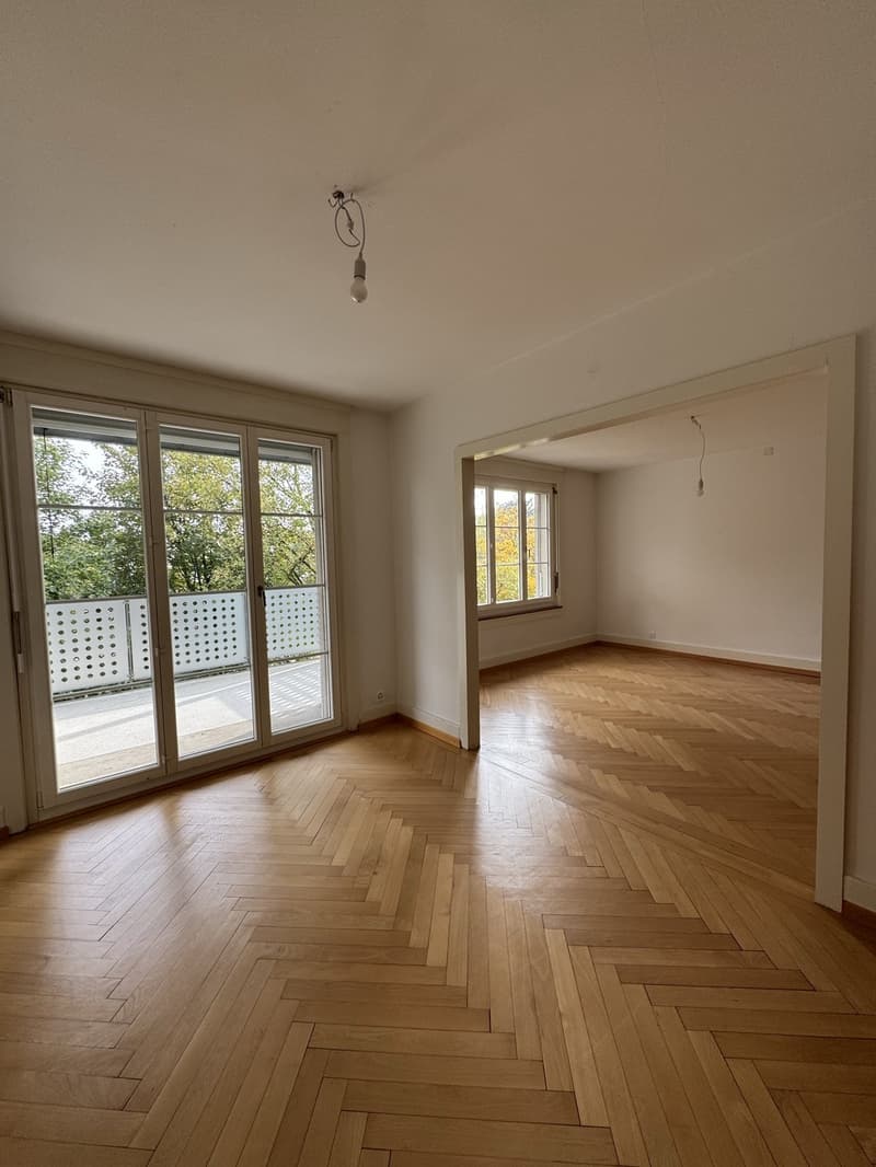 Un bijou de 4 pièces et 95 m2 proche du parc municipal (1)