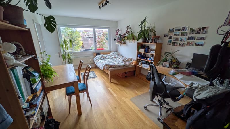 Ruhige Wohnung in Altenberg (1)