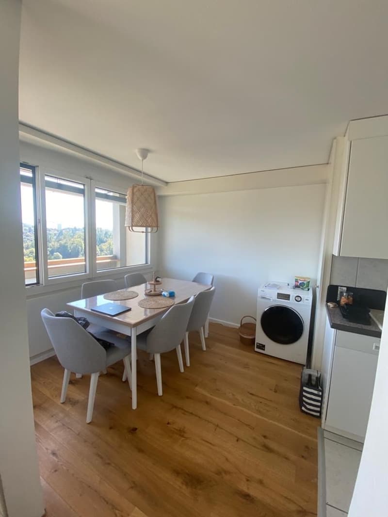 Bright 3.5 room flat with balcony and panoramic view (6)