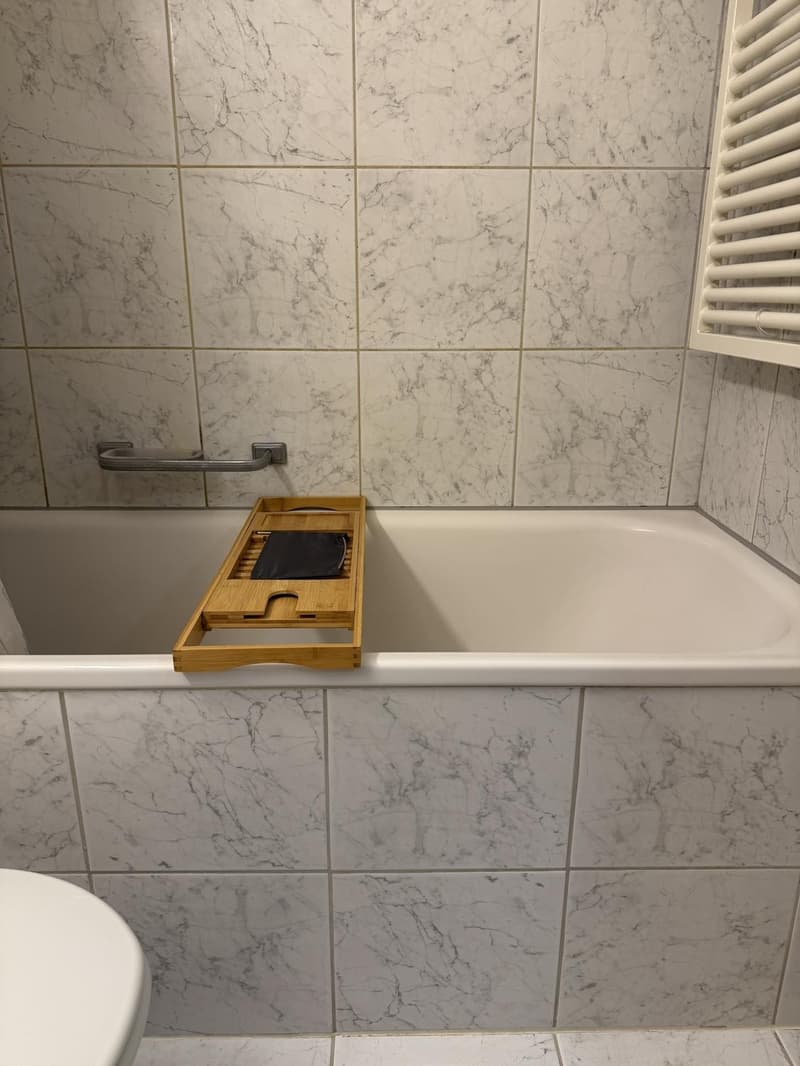 Bright 3.5 room flat with balcony and panoramic view (4)