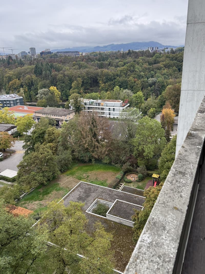Bright 3.5 room flat with balcony and panoramic view (8)