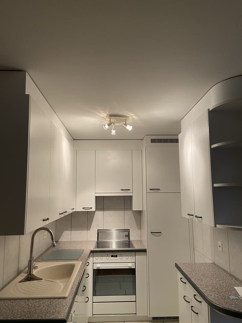 Bright 3.5 room flat with balcony and panoramic view (5)