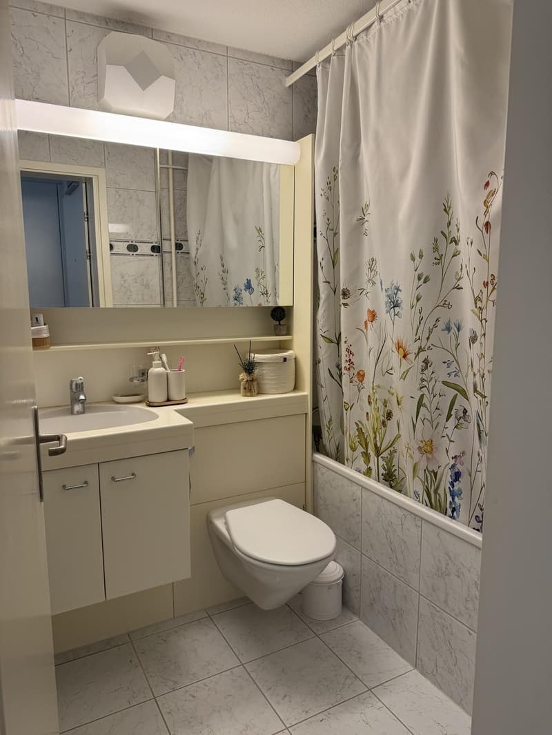 Bright 3.5 room flat with balcony and panoramic view (3)