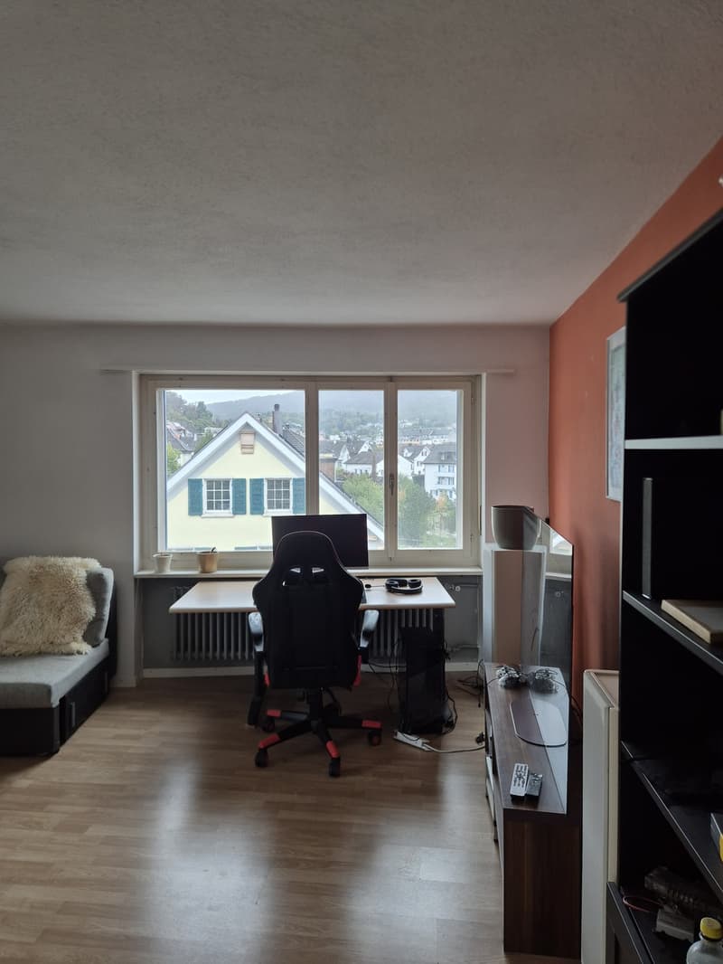 Helle 3.5-Zimmer-Wohnung, Unschlagbar zentrale Lage (2)