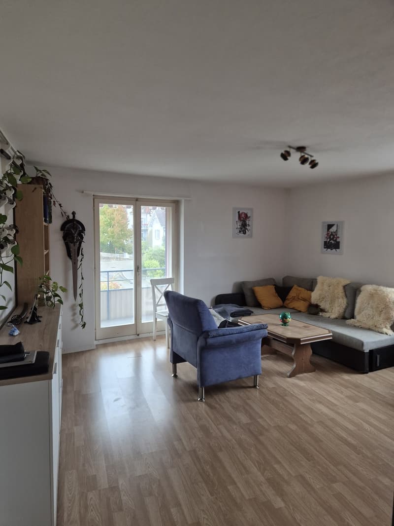 Helle 3.5-Zimmer-Wohnung, Unschlagbar zentrale Lage (1)
