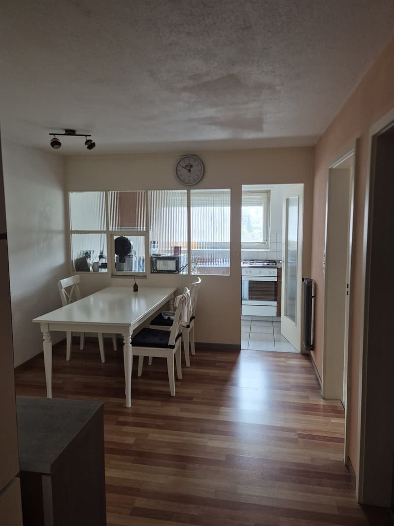 Helle 3.5-Zimmer-Wohnung, Unschlagbar zentrale Lage (5)