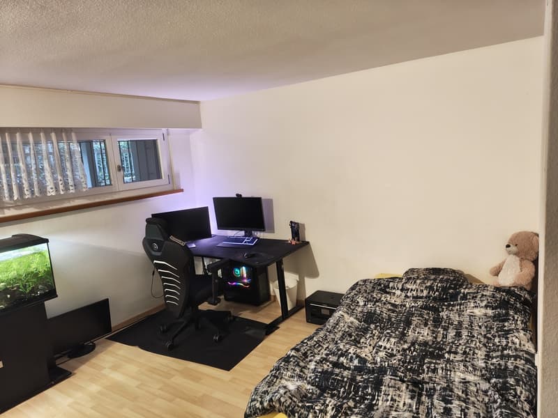 1-Zimmer-Wohnung (Studio) (3)