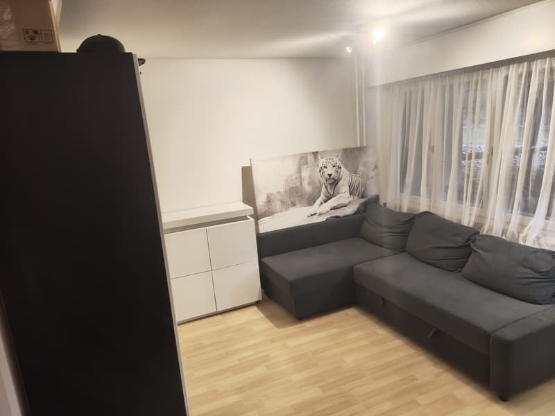 1-Zimmer-Wohnung (Studio) (2)