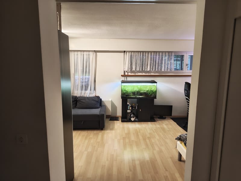 1-Zimmer-Wohnung (Studio) (1)