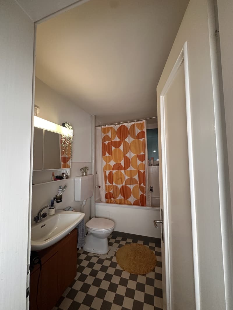 3.5 Zimmer Altbauwohnung im Isrlin (8)