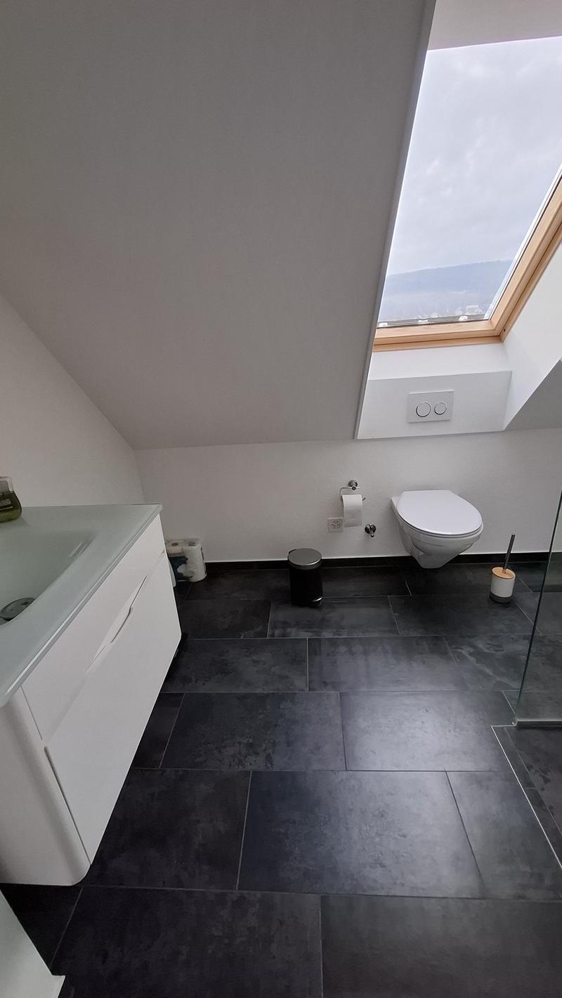 Lovely Duplex in Dietikon: Spacious 4.5-room apartment 20 min to Zurich HB (6)