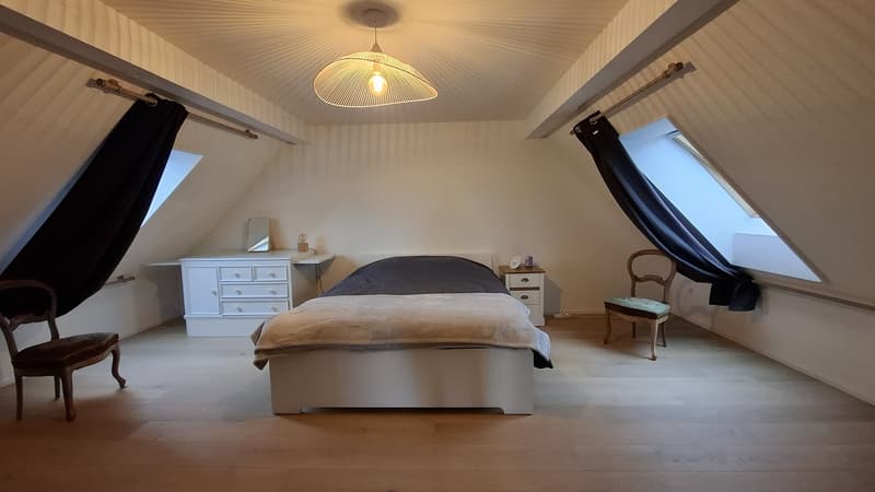Lovely Duplex in Dietikon: Spacious 4.5-room apartment 20 min to Zurich HB (3)