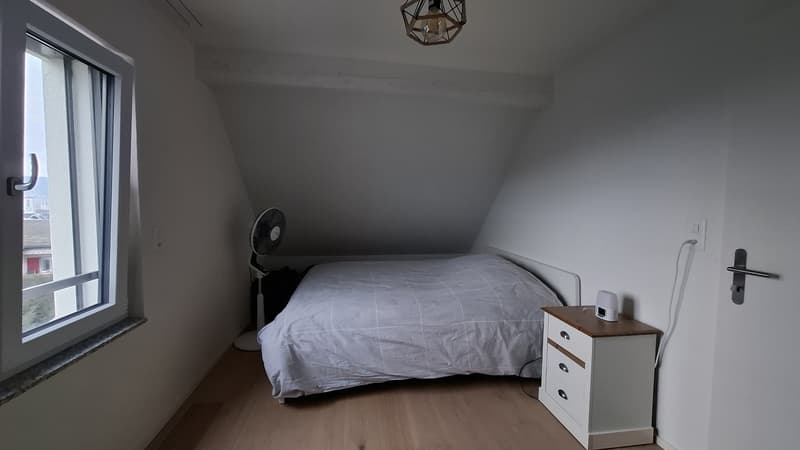 Lovely Duplex in Dietikon: Spacious 4.5-room apartment 20 min to Zurich HB (7)