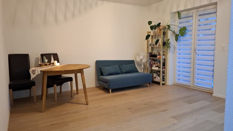 Lovely Duplex in Dietikon: Spacious 4.5-room apartment 20 min to Zurich HB (4)