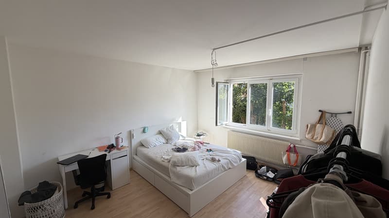 2,5 -Room Apartment for Temporary Rent in Badenerstrasse 564 CHF 1,680 per Month, Including Utilities (3)