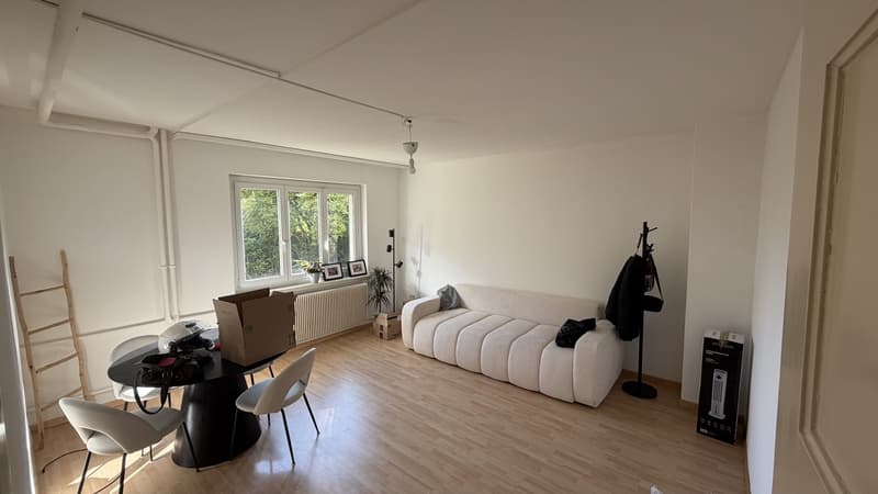 2,5 -Room Apartment for Temporary Rent in Badenerstrasse 564 CHF 1,680 per Month, Including Utilities (1)