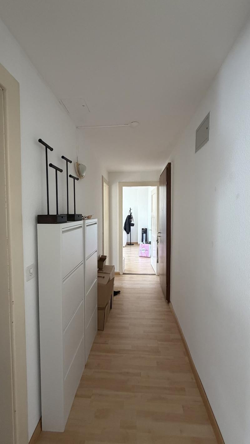 2,5 -Room Apartment for Temporary Rent in Badenerstrasse 564 CHF 1,680 per Month, Including Utilities (4)