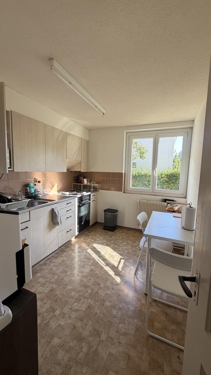 2,5 -Room Apartment for Temporary Rent in Badenerstrasse 564 CHF 1,680 per Month, Including Utilities (5)