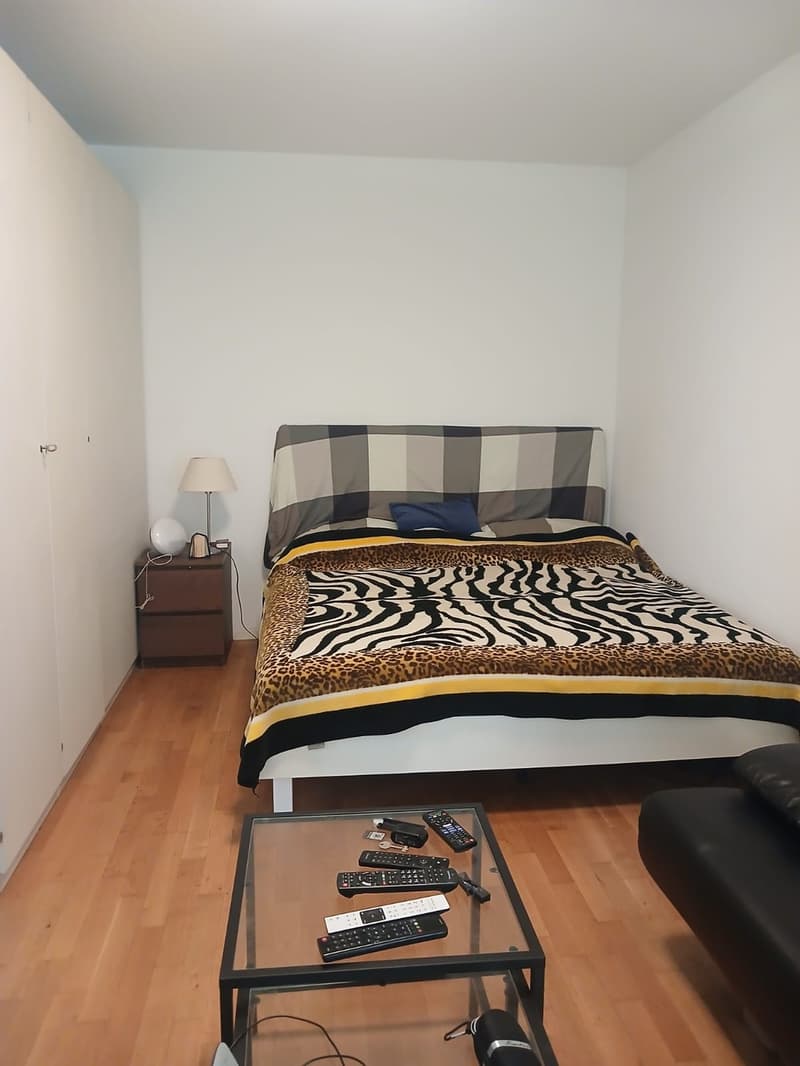 1.5 Zimmerwohnung zur Nachmiete (3)