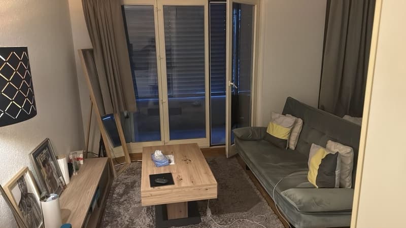 Schöne 1-Zimmer-Wohnung in Oberentfelden (1)
