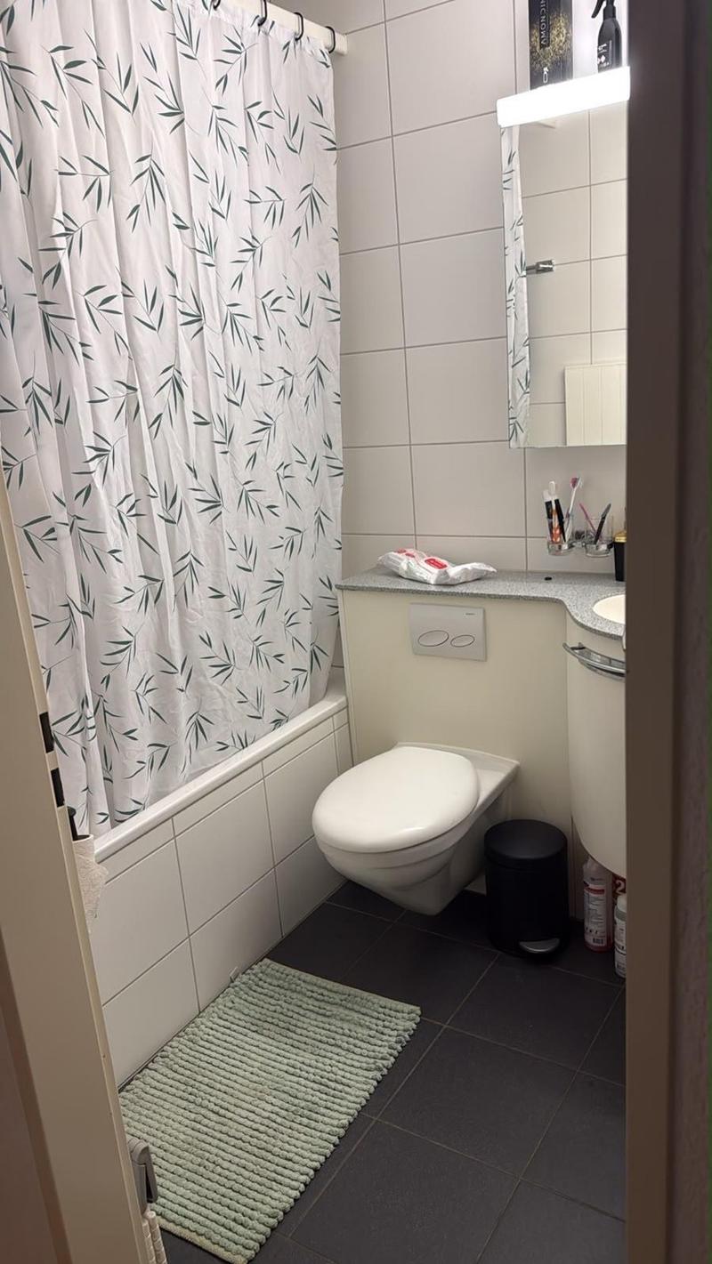 Schöne 1-Zimmer-Wohnung in Oberentfelden (4)