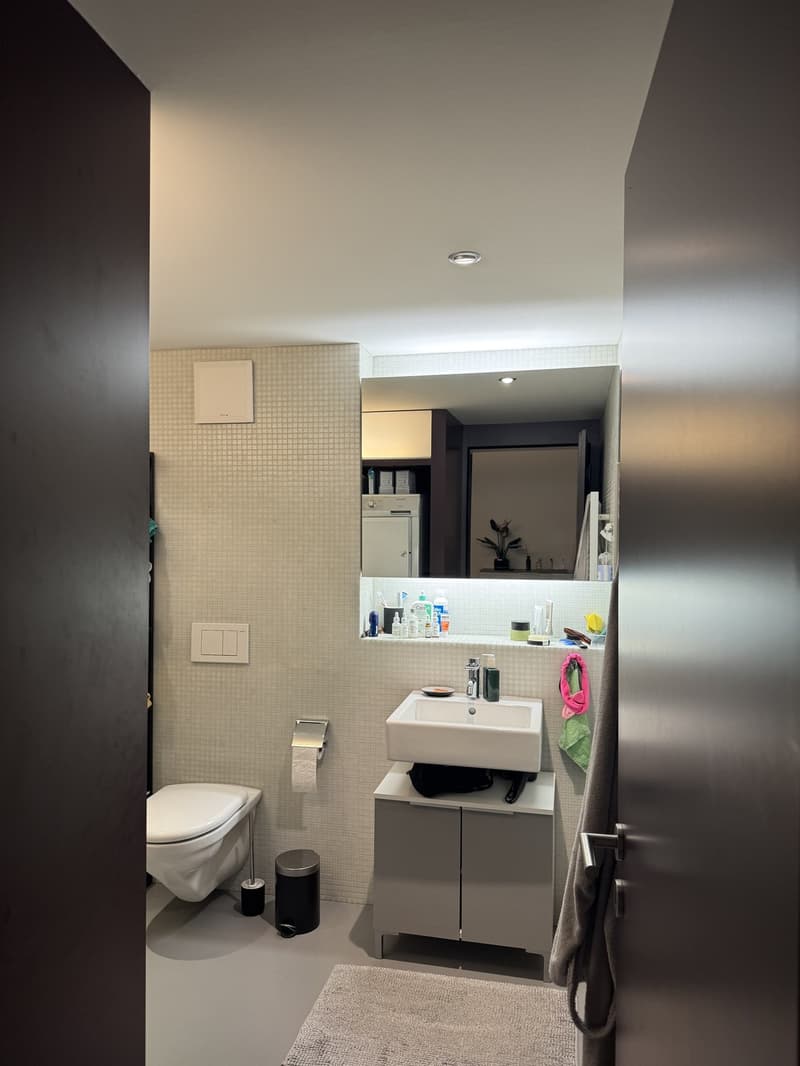 Charmante 2.5-Zimmer-Wohnung  ab 1. Dezember oder früher (8)