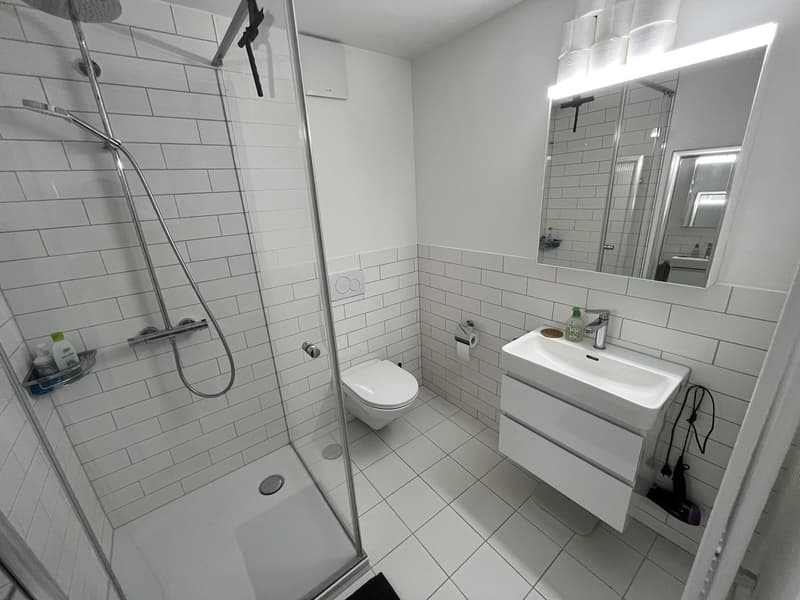Bright 1.5-room apartment at Limmatplatz, Zürich, available from 1 November (3)