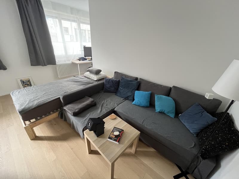 Bright 1.5-room apartment at Limmatplatz, Zürich, available from 1 November (5)