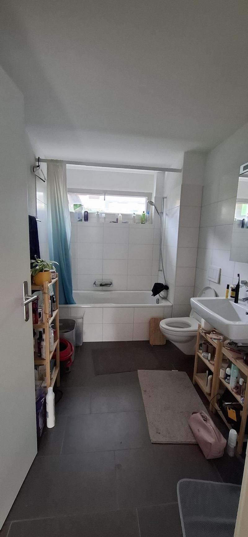 2 ½ Zimmer-Wohnung, 5644 Auw (6)