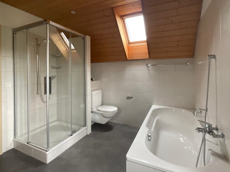 Grosszügige 5.5-Zimmer Maisonette Wohnung mit Seesicht in Bellmund zu vermieten (10)