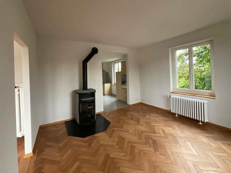 Grosszügige 5.5-Zimmer Maisonette Wohnung mit Seesicht in Bellmund zu vermieten (3)