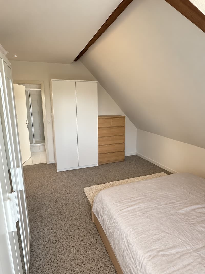 Charmante 2.5-Zimmer-Dachwohnung im Mattenhofquartier  Nachmieter gesucht 1. Dez. (4)