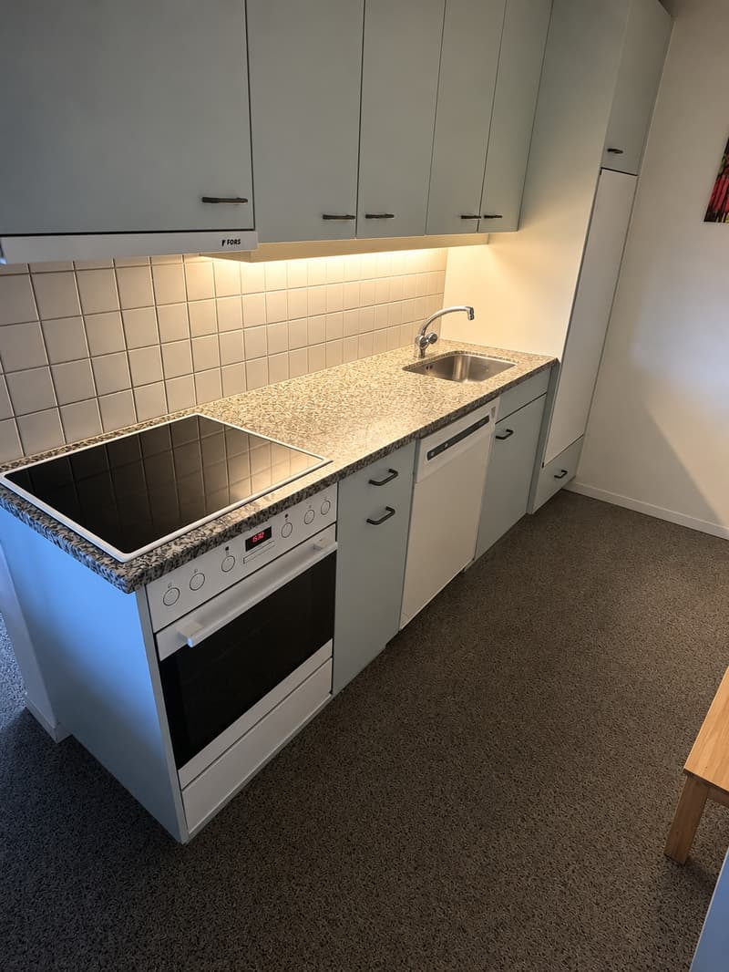 Charmante 2.5-Zimmer-Dachwohnung im Mattenhofquartier  Nachmieter gesucht 1. Dez. (11)